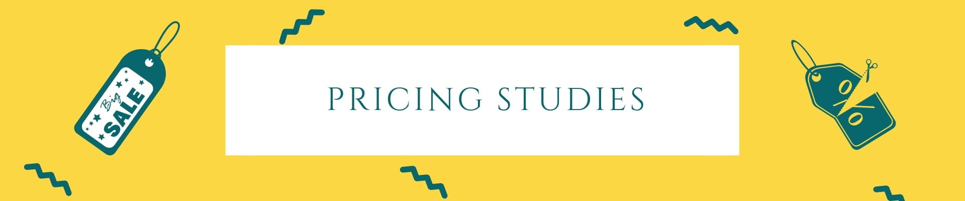 Pricing studies cercetare piata market research