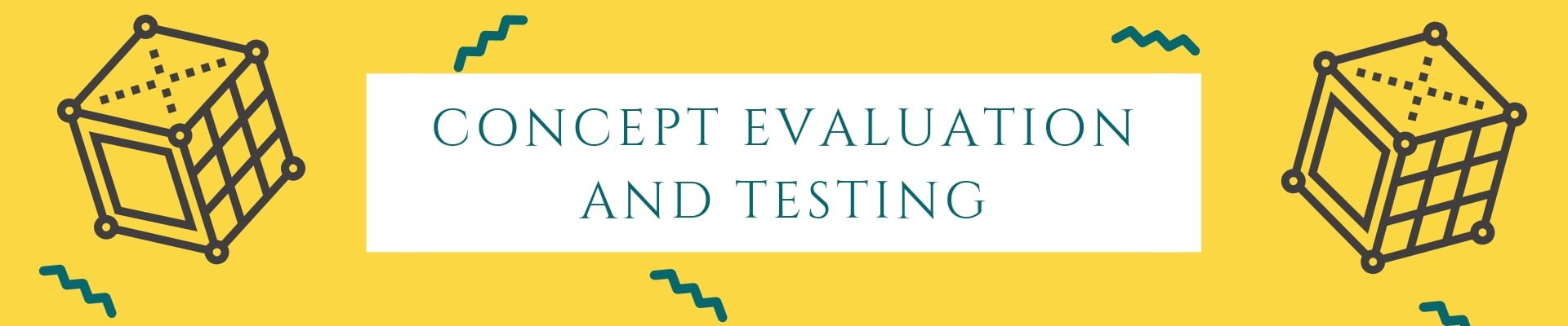 CONCEPT EVALUATION AND TESTING
