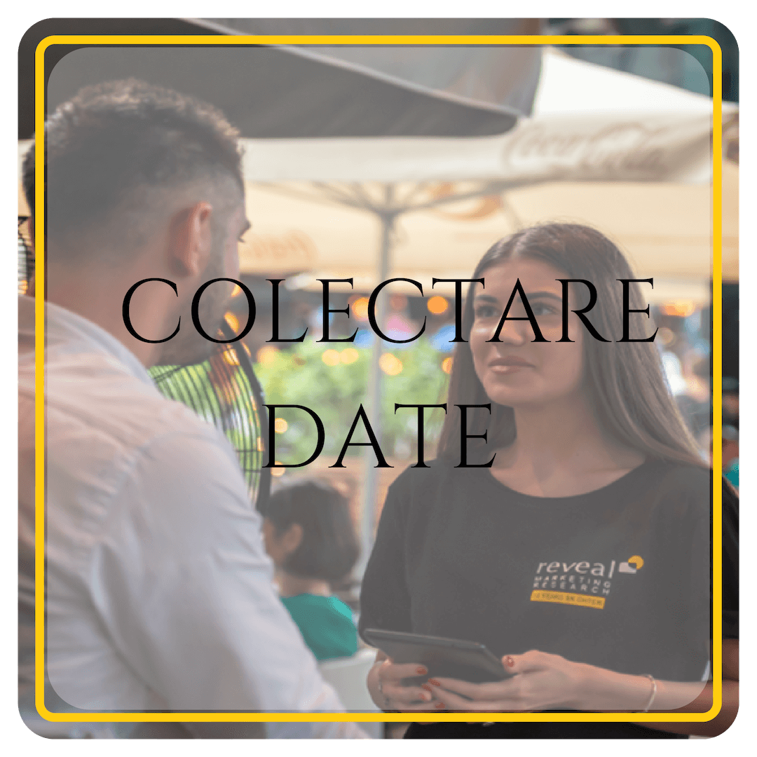 colectare date revel marketing research