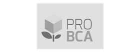 PRO BCA