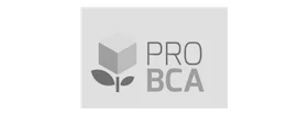 PRO BCA
