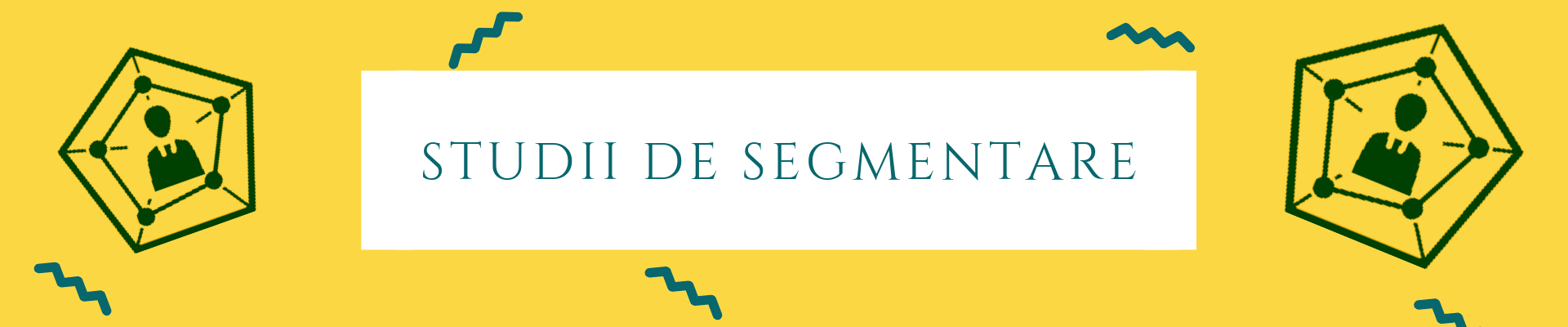 Studii de segmentare reveal marketing research
