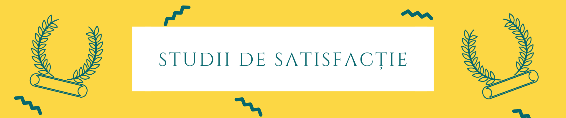 Studii de satisfactie reveal marketing research